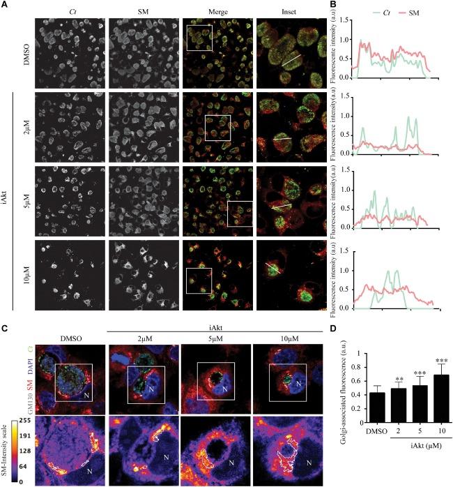 https://cdn.ncbi.nlm.nih.gov/pmc/blobs/9d8a/6456686/f937047f5fca/fmicb-10-00666-g005.jpg