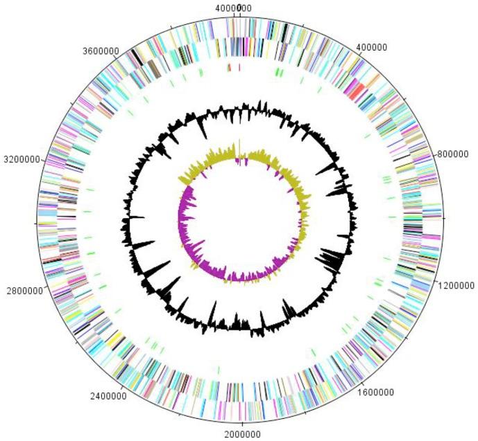 https://cdn.ncbi.nlm.nih.gov/pmc/blobs/9d8e/3558963/5709b9b1c5a0/sigs.2625821-f5.jpg
