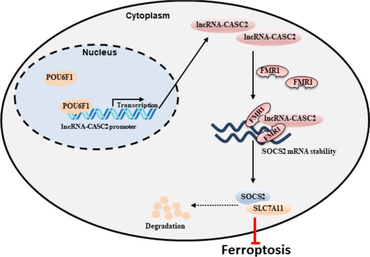 https://cdn.ncbi.nlm.nih.gov/pmc/blobs/9d8f/10808632/22b8616c3bc7/10565_2024_9843_Fig9_HTML.jpg