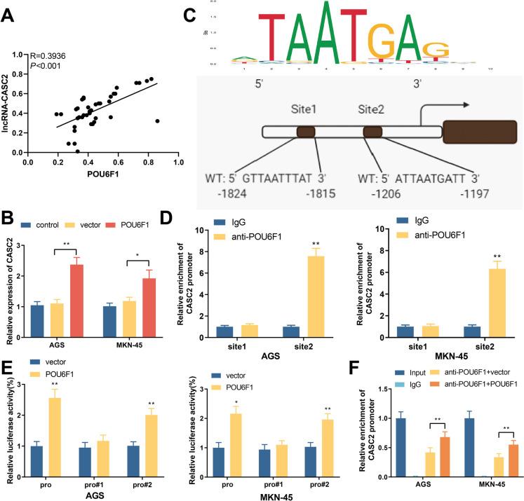 https://cdn.ncbi.nlm.nih.gov/pmc/blobs/9d8f/10808632/4ad3cff1aedc/10565_2024_9843_Fig3_HTML.jpg
