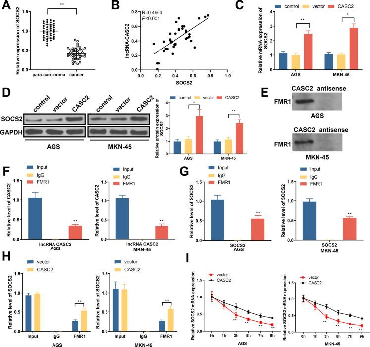 https://cdn.ncbi.nlm.nih.gov/pmc/blobs/9d8f/10808632/c32bdbbeea54/10565_2024_9843_Fig5_HTML.jpg