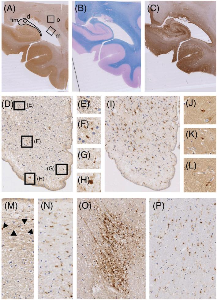 https://cdn.ncbi.nlm.nih.gov/pmc/blobs/9d8f/10947283/92cb041e1abf/NAN-49-0-g002.jpg