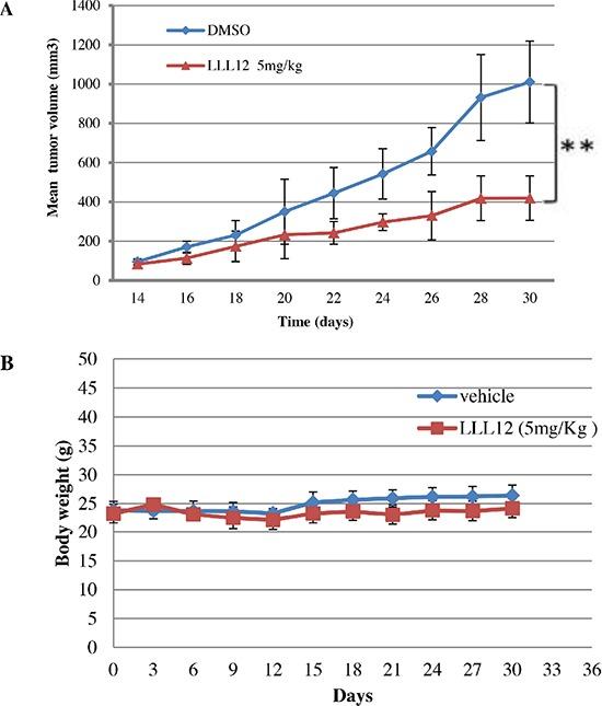 https://cdn.ncbi.nlm.nih.gov/pmc/blobs/9d91/4484430/b04f048e8cfe/oncotarget-06-10940-g007.jpg