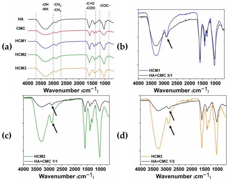 https://cdn.ncbi.nlm.nih.gov/pmc/blobs/9d93/10815124/17e0df6abea5/gels-10-00067-g007.jpg
