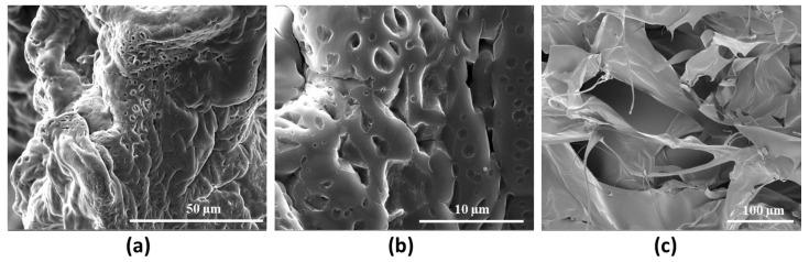https://cdn.ncbi.nlm.nih.gov/pmc/blobs/9d93/10815124/1bbf787b8737/gels-10-00067-g008.jpg