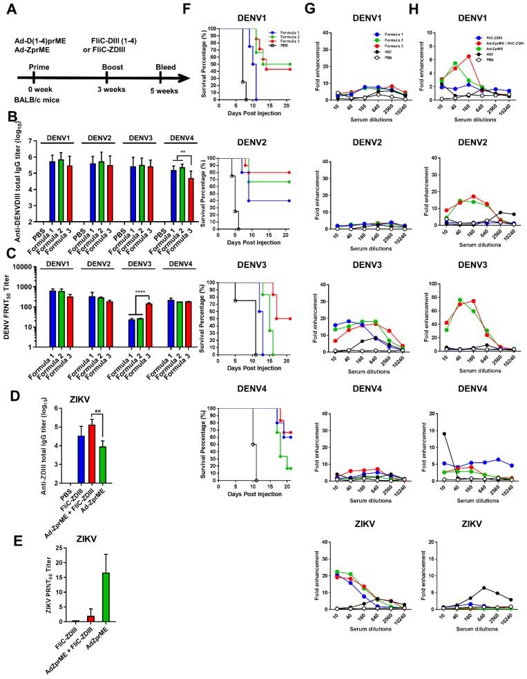 https://cdn.ncbi.nlm.nih.gov/pmc/blobs/9d93/6643441/4f1cbd2d1ea5/thnov09p4811g003.jpg