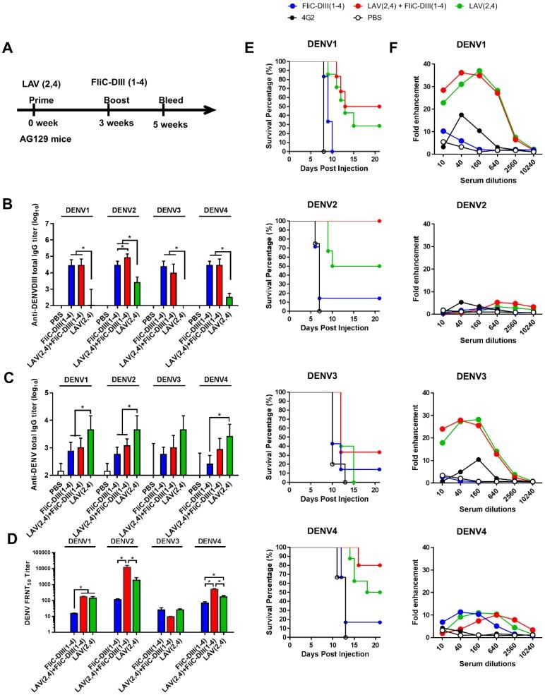 https://cdn.ncbi.nlm.nih.gov/pmc/blobs/9d93/6643441/8dda6849087b/thnov09p4811g002.jpg
