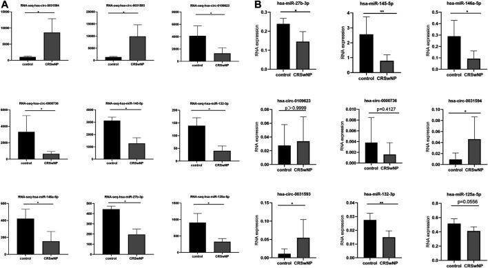 https://cdn.ncbi.nlm.nih.gov/pmc/blobs/9d94/8194396/d950c2331ae2/fmolb-08-643504-g007.jpg