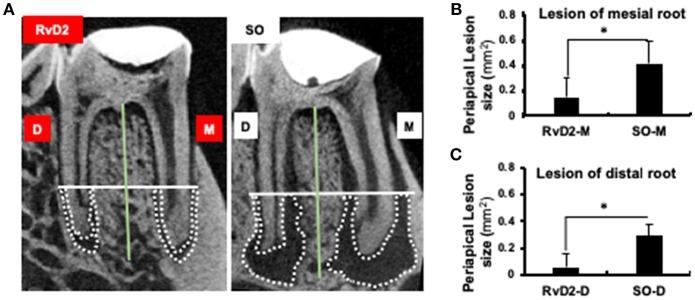 https://cdn.ncbi.nlm.nih.gov/pmc/blobs/9d96/6399419/2513854ab11b/fimmu-10-00307-g0003.jpg