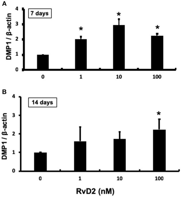 https://cdn.ncbi.nlm.nih.gov/pmc/blobs/9d96/6399419/4c2b3746337f/fimmu-10-00307-g0007.jpg