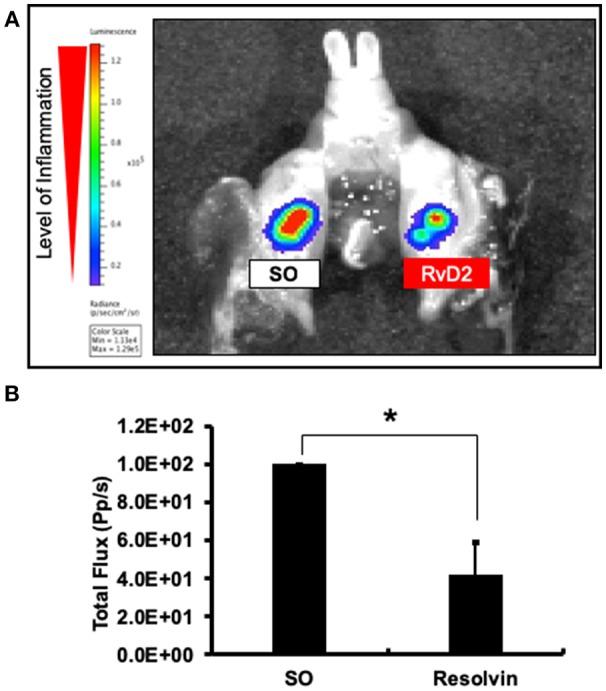 https://cdn.ncbi.nlm.nih.gov/pmc/blobs/9d96/6399419/6664b4f9720c/fimmu-10-00307-g0002.jpg