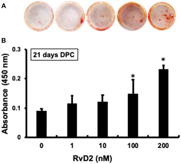 https://cdn.ncbi.nlm.nih.gov/pmc/blobs/9d96/6399419/c08f265cc5b1/fimmu-10-00307-g0006.jpg