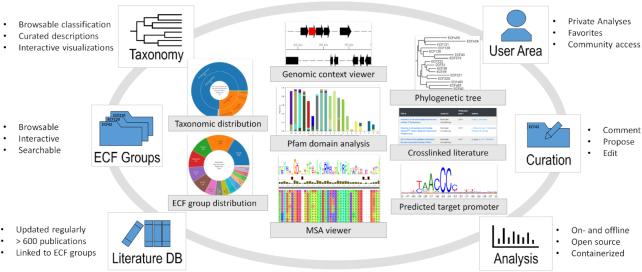 https://cdn.ncbi.nlm.nih.gov/pmc/blobs/9d97/7826278/53d55003db5f/gkaa1229fig8.jpg