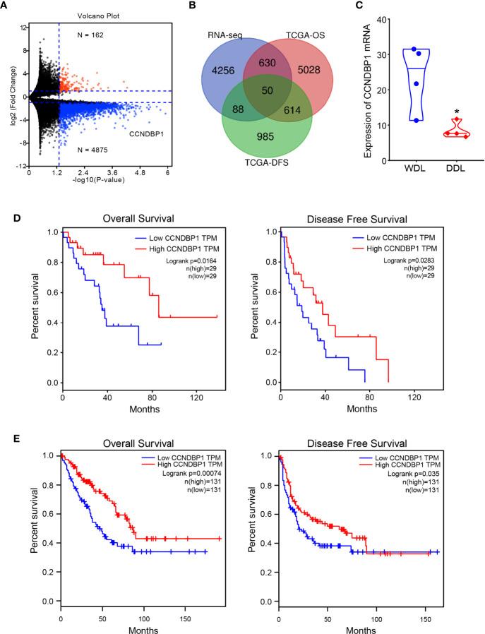 https://cdn.ncbi.nlm.nih.gov/pmc/blobs/9d99/8493074/172fab7f5f1d/fonc-11-687012-g001.jpg