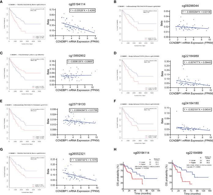 https://cdn.ncbi.nlm.nih.gov/pmc/blobs/9d99/8493074/5b71298941b3/fonc-11-687012-g007.jpg