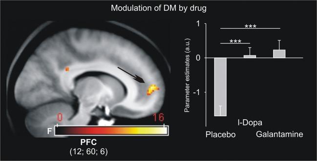 https://cdn.ncbi.nlm.nih.gov/pmc/blobs/9d9d/3977623/7b2c56dcc155/bhs42006.jpg