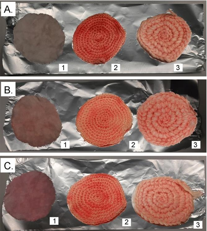 https://cdn.ncbi.nlm.nih.gov/pmc/blobs/9d9e/11130214/9cc6610e0021/41598_2024_62528_Fig2_HTML.jpg