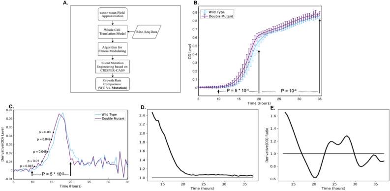 https://cdn.ncbi.nlm.nih.gov/pmc/blobs/9da0/7713304/0d1a45e86207/41598_2020_78260_Fig4_HTML.jpg