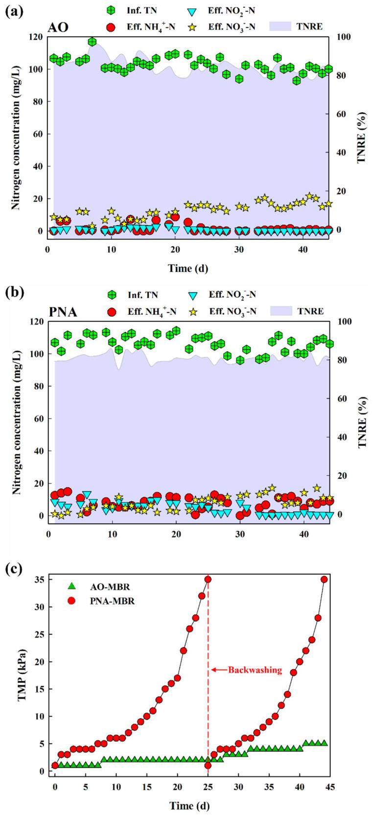 https://cdn.ncbi.nlm.nih.gov/pmc/blobs/9da1/11509564/42b659fccf90/membranes-14-00214-g001.jpg