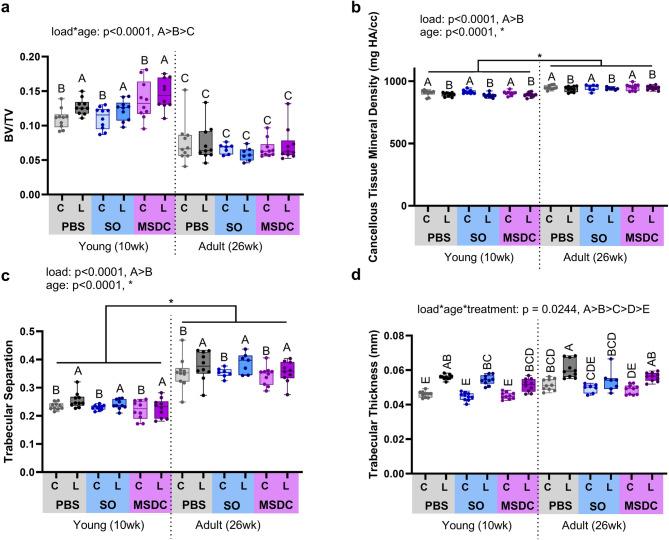 https://cdn.ncbi.nlm.nih.gov/pmc/blobs/9da1/12126591/8aecfa2b1566/41598_2025_2141_Fig5_HTML.jpg