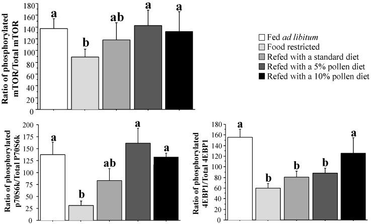 https://cdn.ncbi.nlm.nih.gov/pmc/blobs/9da2/4276980/24303357be3f/nutrients-06-05500-g002.jpg