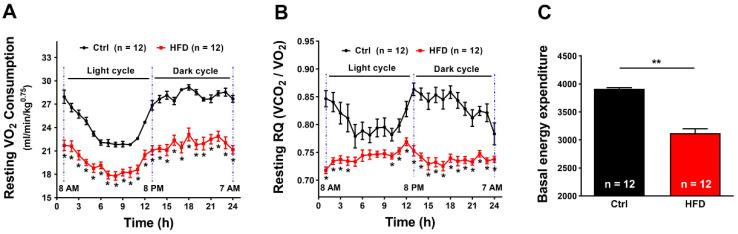 https://cdn.ncbi.nlm.nih.gov/pmc/blobs/9da2/9104075/9463e4194ba2/ijms-23-05286-g002.jpg