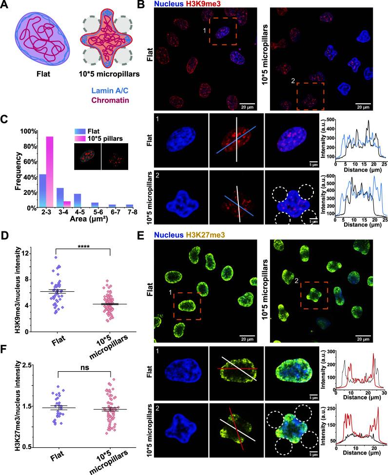 https://cdn.ncbi.nlm.nih.gov/pmc/blobs/9da3/11504519/671bb8f9721b/im4c00035_0004.jpg
