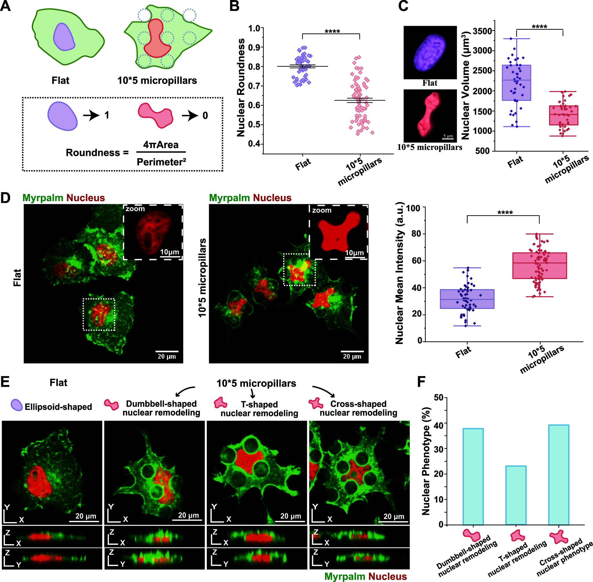 https://cdn.ncbi.nlm.nih.gov/pmc/blobs/9da3/11504519/90058d879712/im4c00035_0002.jpg