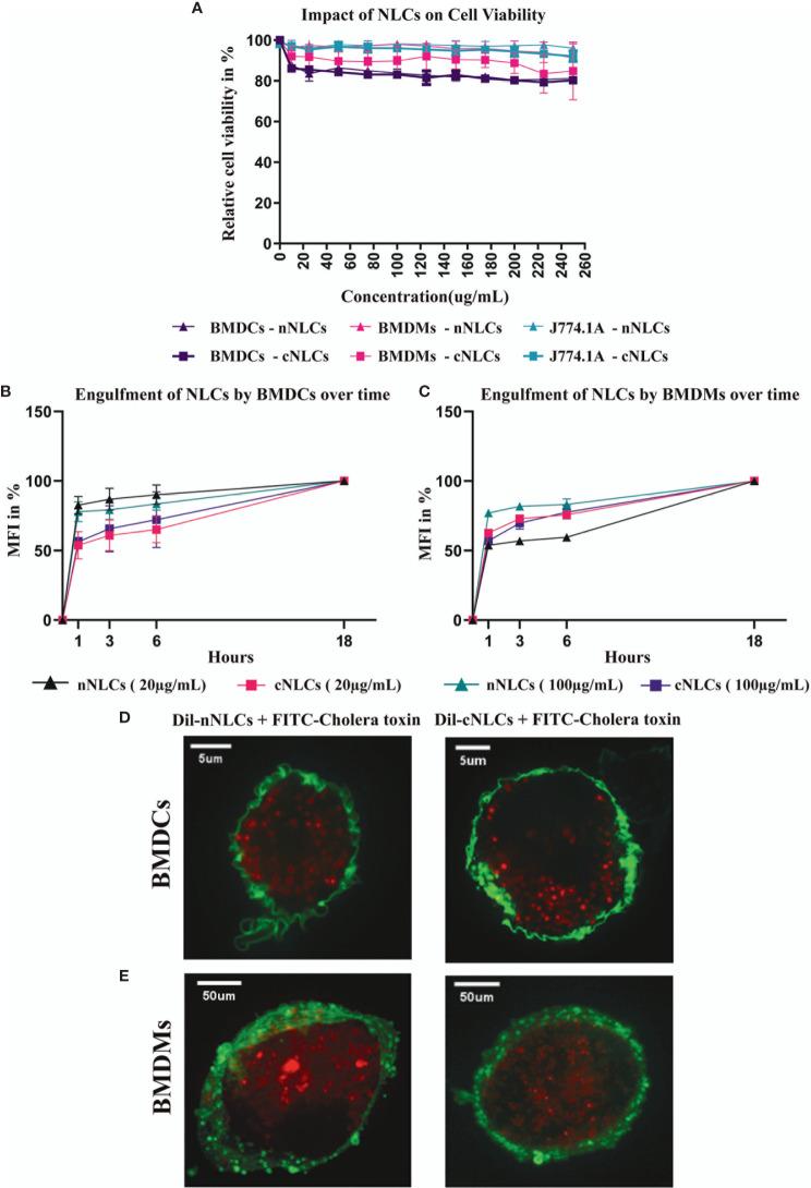 https://cdn.ncbi.nlm.nih.gov/pmc/blobs/9da3/8419413/0ffb16fbe48e/fimmu-12-722411-g001.jpg