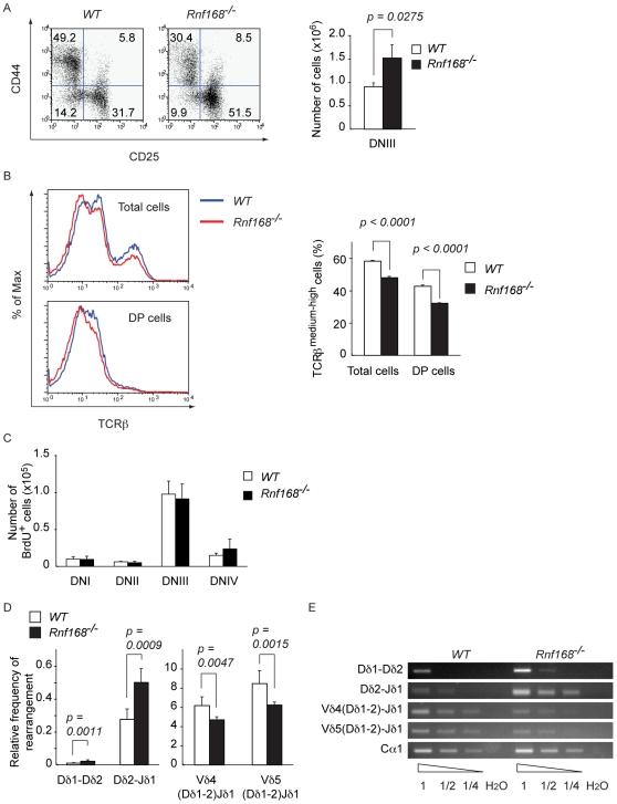https://cdn.ncbi.nlm.nih.gov/pmc/blobs/9da5/3084200/c30ab3fc9161/pgen.1001381.g007.jpg