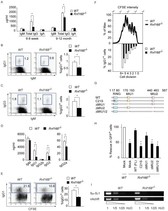 https://cdn.ncbi.nlm.nih.gov/pmc/blobs/9da5/3084200/da4d7aea198c/pgen.1001381.g005.jpg