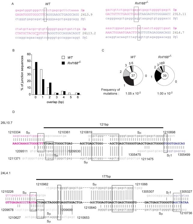 https://cdn.ncbi.nlm.nih.gov/pmc/blobs/9da5/3084200/fdaaf29cd482/pgen.1001381.g006.jpg