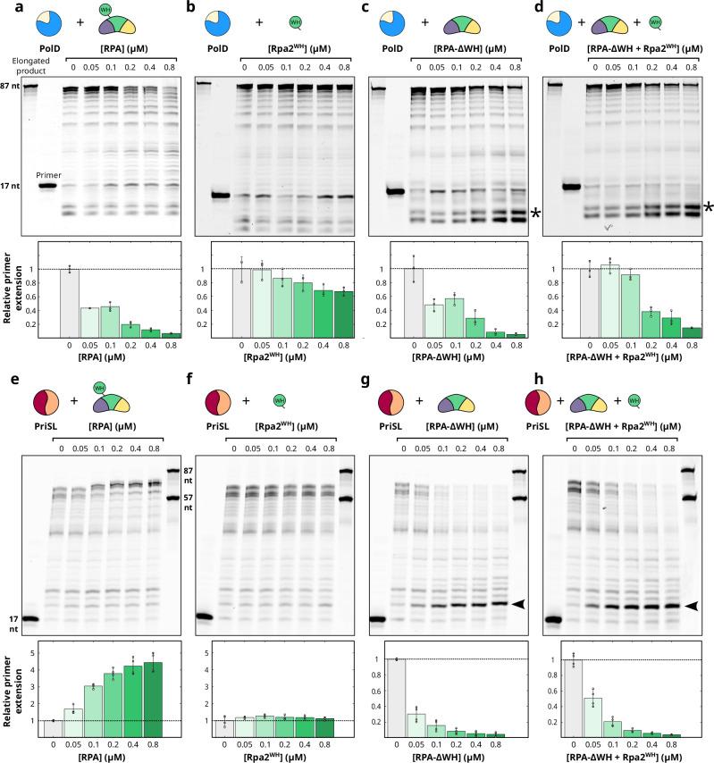 https://cdn.ncbi.nlm.nih.gov/pmc/blobs/9da7/11686378/3c51e96ea940/41467_2024_55365_Fig4_HTML.jpg