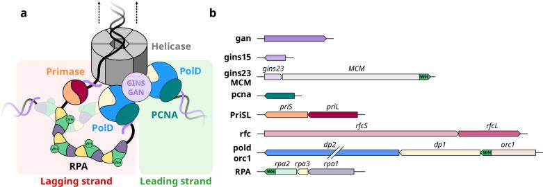 https://cdn.ncbi.nlm.nih.gov/pmc/blobs/9da7/11686378/8cb7b636b4a4/41467_2024_55365_Fig1_HTML.jpg