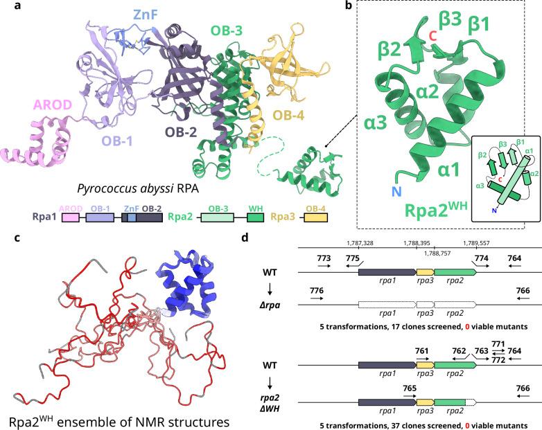https://cdn.ncbi.nlm.nih.gov/pmc/blobs/9da7/11686378/a2ba078bb5bc/41467_2024_55365_Fig2_HTML.jpg