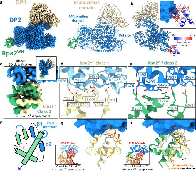 https://cdn.ncbi.nlm.nih.gov/pmc/blobs/9da7/11686378/be29f21b019d/41467_2024_55365_Fig7_HTML.jpg
