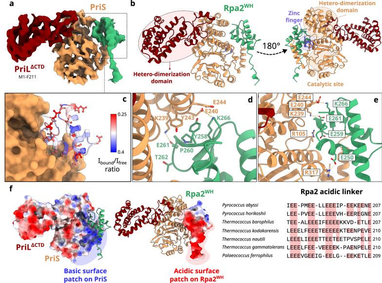 https://cdn.ncbi.nlm.nih.gov/pmc/blobs/9da7/11686378/fa19e512c22a/41467_2024_55365_Fig5_HTML.jpg
