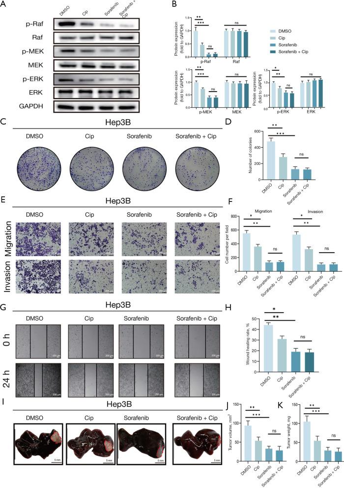 https://cdn.ncbi.nlm.nih.gov/pmc/blobs/9db0/12314693/4505cfd9e052/tgh-10-24-115-f6.jpg