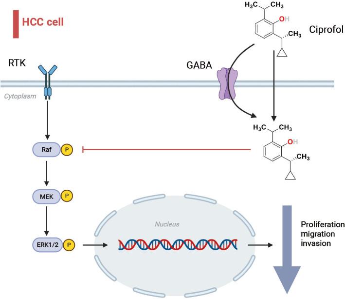 https://cdn.ncbi.nlm.nih.gov/pmc/blobs/9db0/12314693/78219b67c25c/tgh-10-24-115-f7.jpg