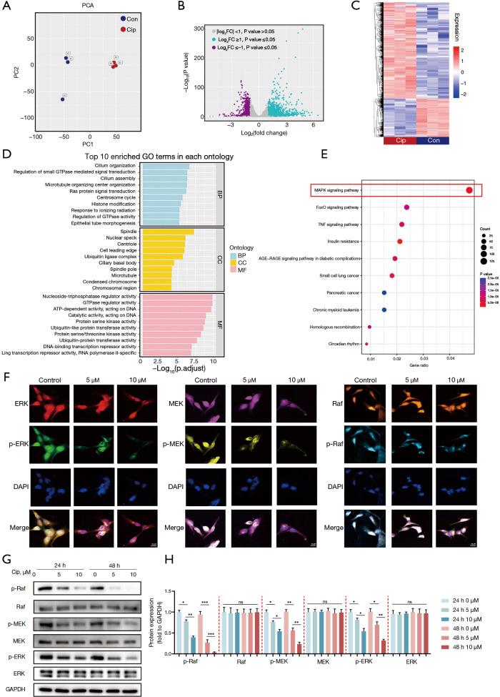 https://cdn.ncbi.nlm.nih.gov/pmc/blobs/9db0/12314693/81b7276b0948/tgh-10-24-115-f5.jpg
