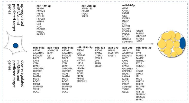 https://cdn.ncbi.nlm.nih.gov/pmc/blobs/9db1/7278844/05fdc11a3872/animals-10-00818-g005.jpg