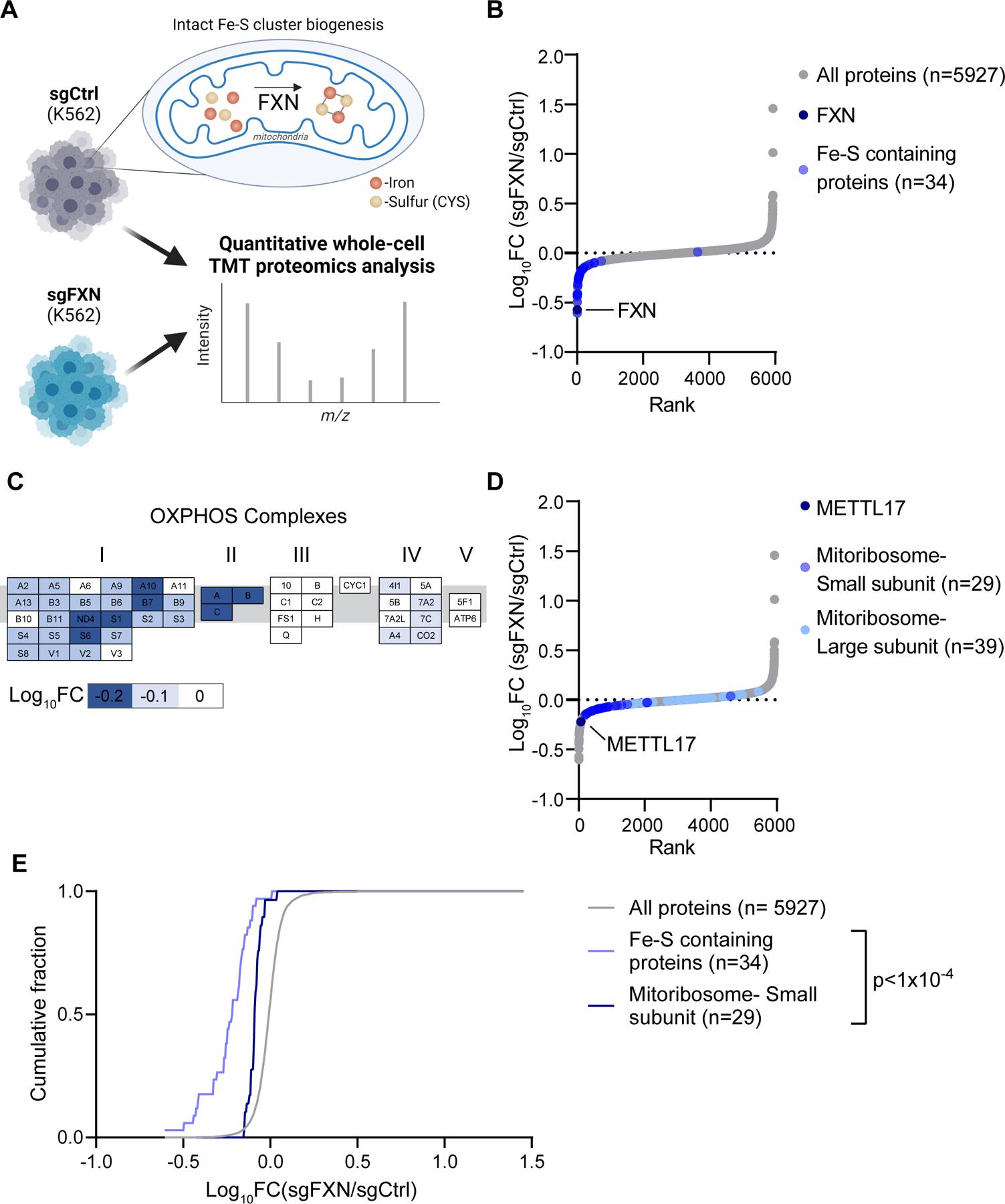 https://cdn.ncbi.nlm.nih.gov/pmc/blobs/9db9/11046306/21bdd19b307e/nihms-1958834-f0002.jpg