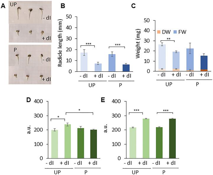https://cdn.ncbi.nlm.nih.gov/pmc/blobs/9dba/10319343/b7e77effb93e/fpls-14-1188546-g007.jpg