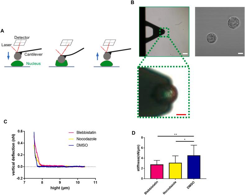 https://cdn.ncbi.nlm.nih.gov/pmc/blobs/9dba/11414493/7ca7746a6bf6/gr5.jpg