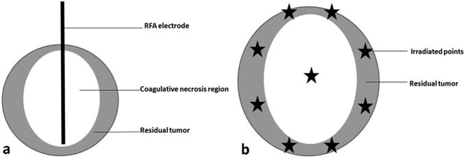 https://cdn.ncbi.nlm.nih.gov/pmc/blobs/9dba/6556620/66ba1322db91/gr1.jpg