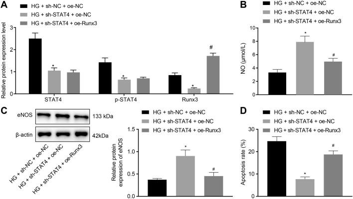 https://cdn.ncbi.nlm.nih.gov/pmc/blobs/9dba/8605525/d412ed14570d/12967_2021_3069_Fig5_HTML.jpg