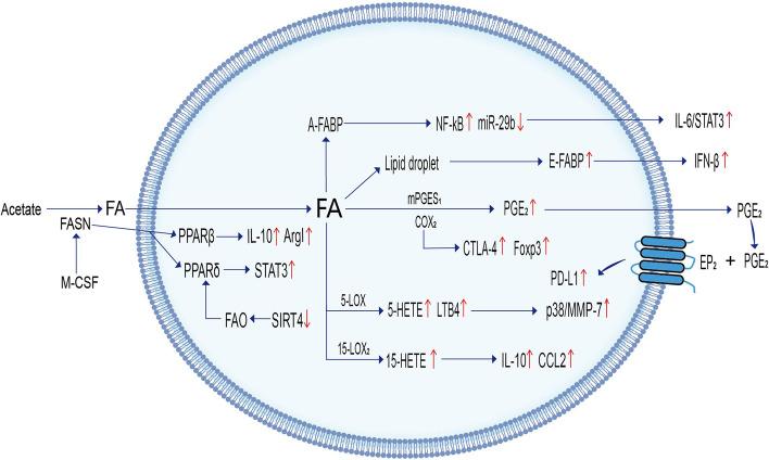 https://cdn.ncbi.nlm.nih.gov/pmc/blobs/9dbc/10064535/fd98e52bb430/12944_2023_1807_Fig2_HTML.jpg