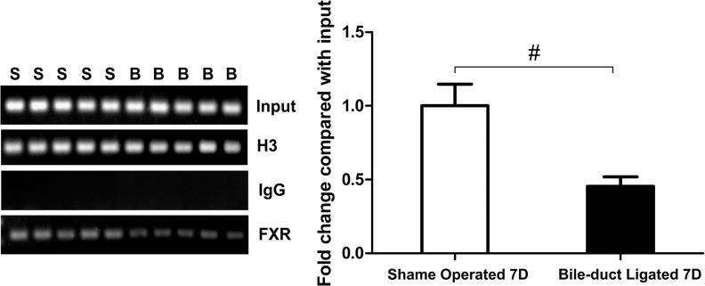 https://cdn.ncbi.nlm.nih.gov/pmc/blobs/9dbc/4546195/48b2de8d8fa2/pone.0136215.g006.jpg