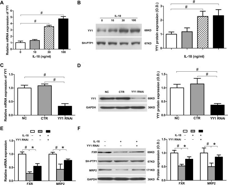 https://cdn.ncbi.nlm.nih.gov/pmc/blobs/9dbc/4546195/72c92bff3098/pone.0136215.g003.jpg