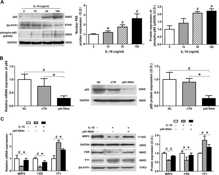 https://cdn.ncbi.nlm.nih.gov/pmc/blobs/9dbc/4546195/738f10710ebe/pone.0136215.g004.jpg